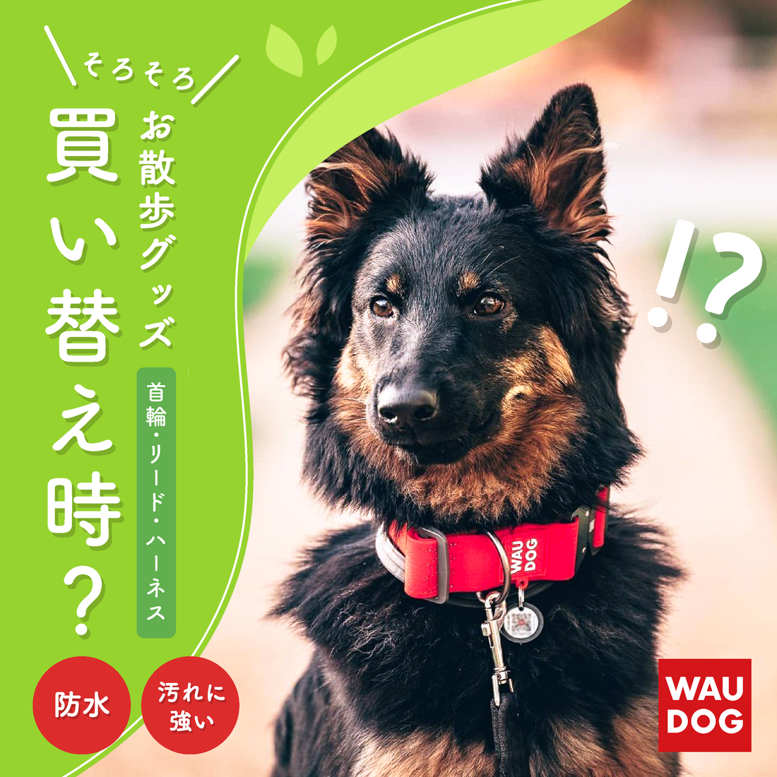 今が買い替え時　明日3/29(金)20:00クーポン配信❗