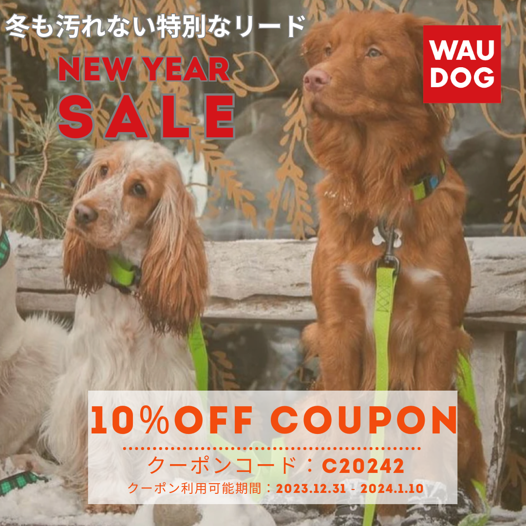 新年のご挨拶、クーポンコードのお知らせ