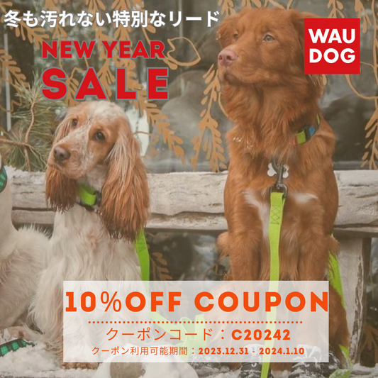 クーポン10日まで！！