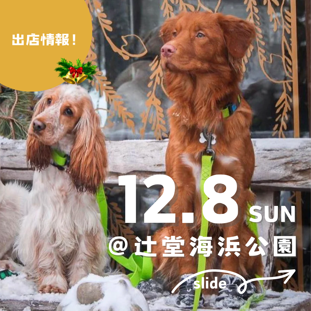 出店のお知らせ：12/8(日)Tsujido Local Market🐶