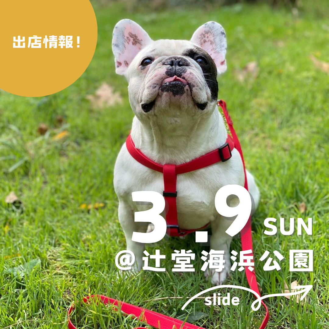 出店のお知らせ：3/9(日)Tsujido Local Market 🐶