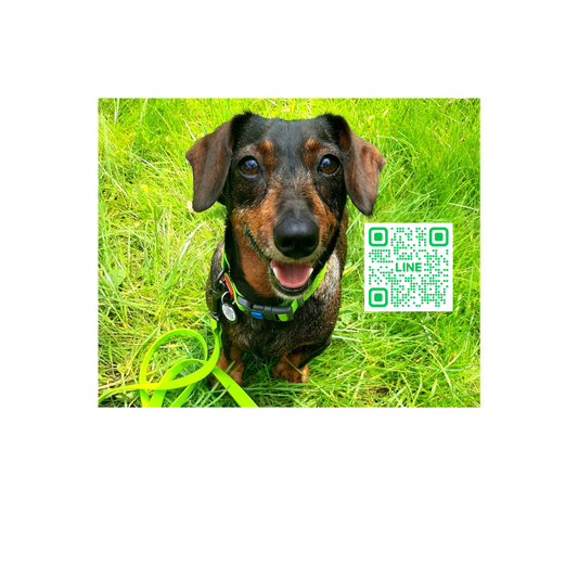 クーポン期日まもなくです！