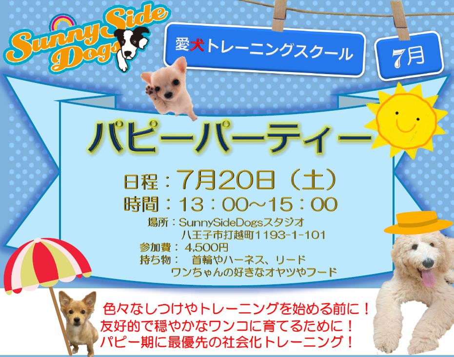 生後６ヶ月未満のワンちゃん集まれ❗️八王子🐶