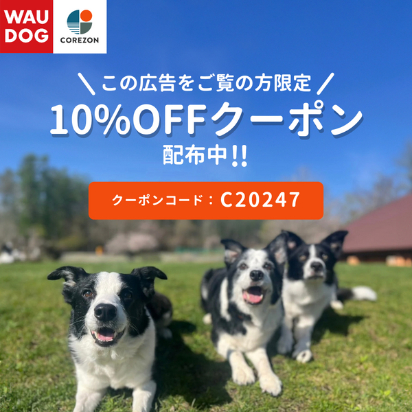 10％OFF　SALE　始まりました❗️🐶