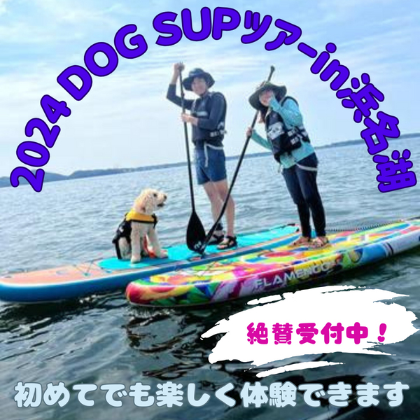 2024 DOG SUP ツアー in 浜名湖 参加者募集中❗
