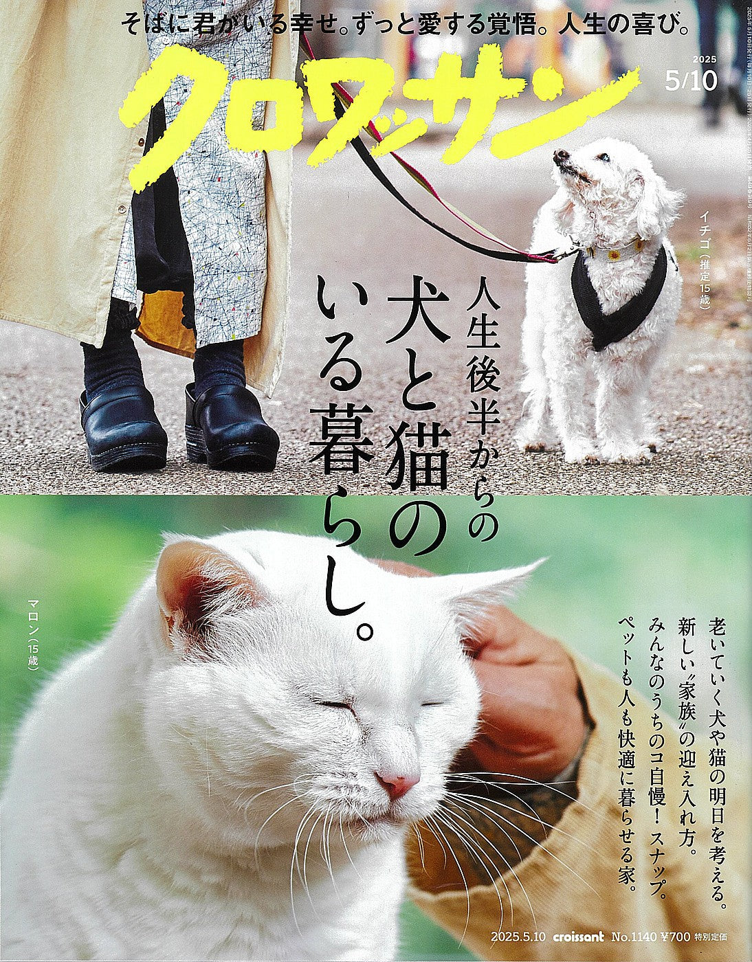 雑誌「クロワッサン」に掲載されました🐶