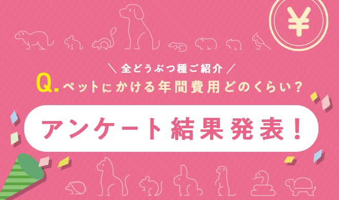 気になる⁉️　調査報告：ペットにかける費用