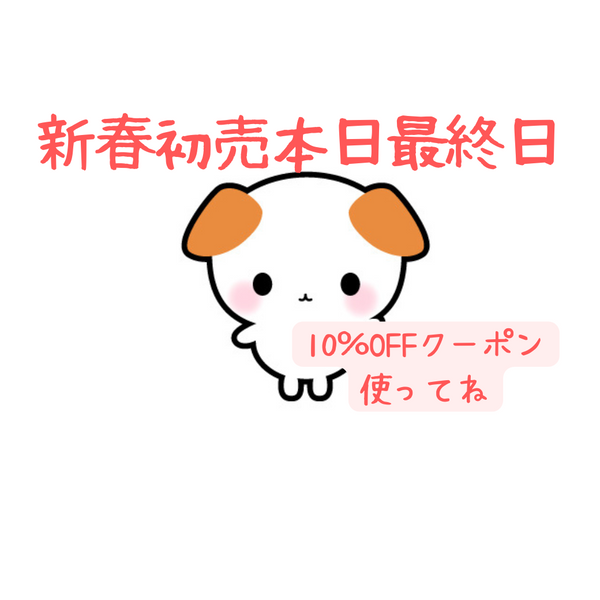 急いで‼️本日10%OFFクーポン最終日🐶