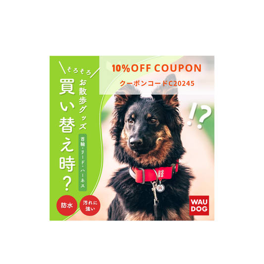 まもなく10%OFFクーポン配信期間終了です❗️