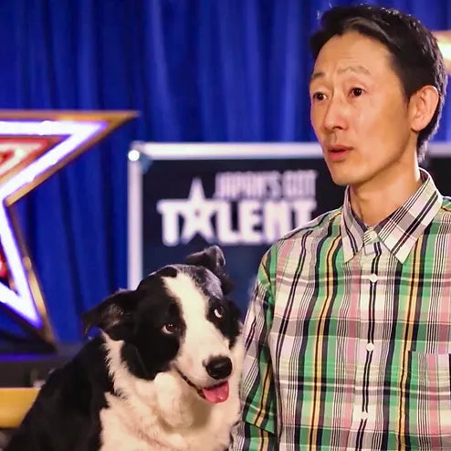 ドッグトレーナー伊藤哲朗先生のご紹介