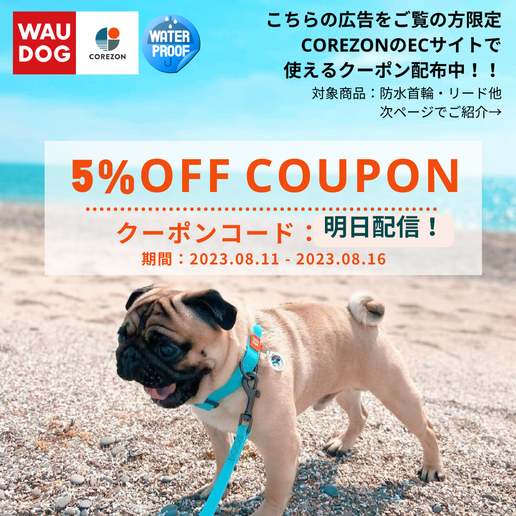 クーポン配布情報