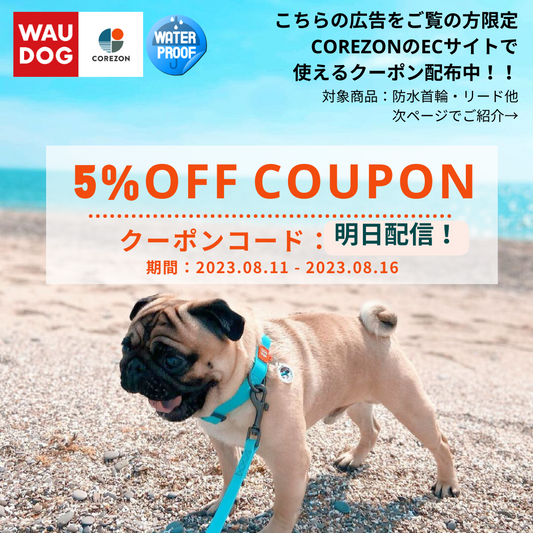 クーポン配布情報
