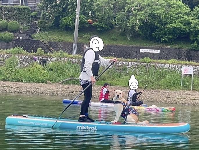 浜名湖DOG SUP 体験ツアー 大好評🐶