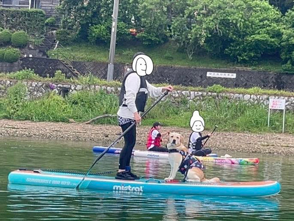 浜名湖DOG SUP 体験ツアー 大好評🐶