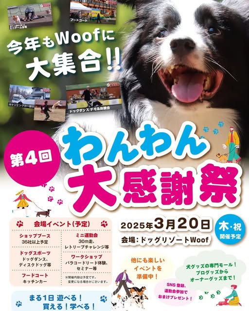 イベント情報：3/20(祝)第4回わんわん⼤感謝祭2025 『Ark-Test』実施