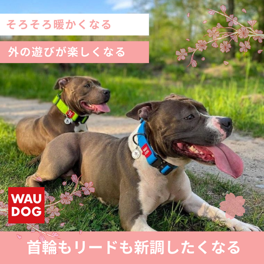 春です❗お得情報のご案内です💕