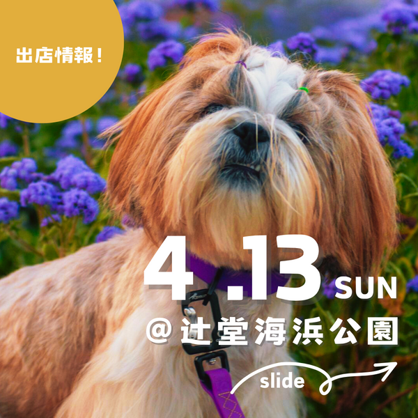 イベント情報：4/13(日)Tsujido Local Market🐶