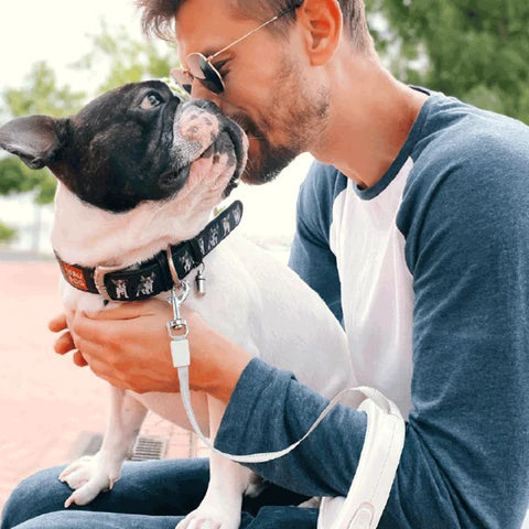 ブログ紹介：犬の信頼を得る方法１