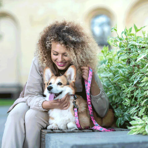 ブログ紹介：犬の信頼を得る方法３