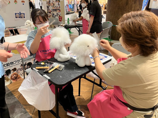 イベントのお知らせ　2/3(土)４(日)トリマー体験してみませんか？