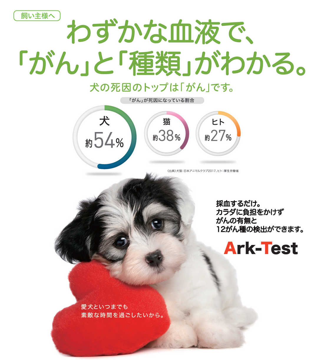 祝　特別賞受賞「Ark-Test」🐶
