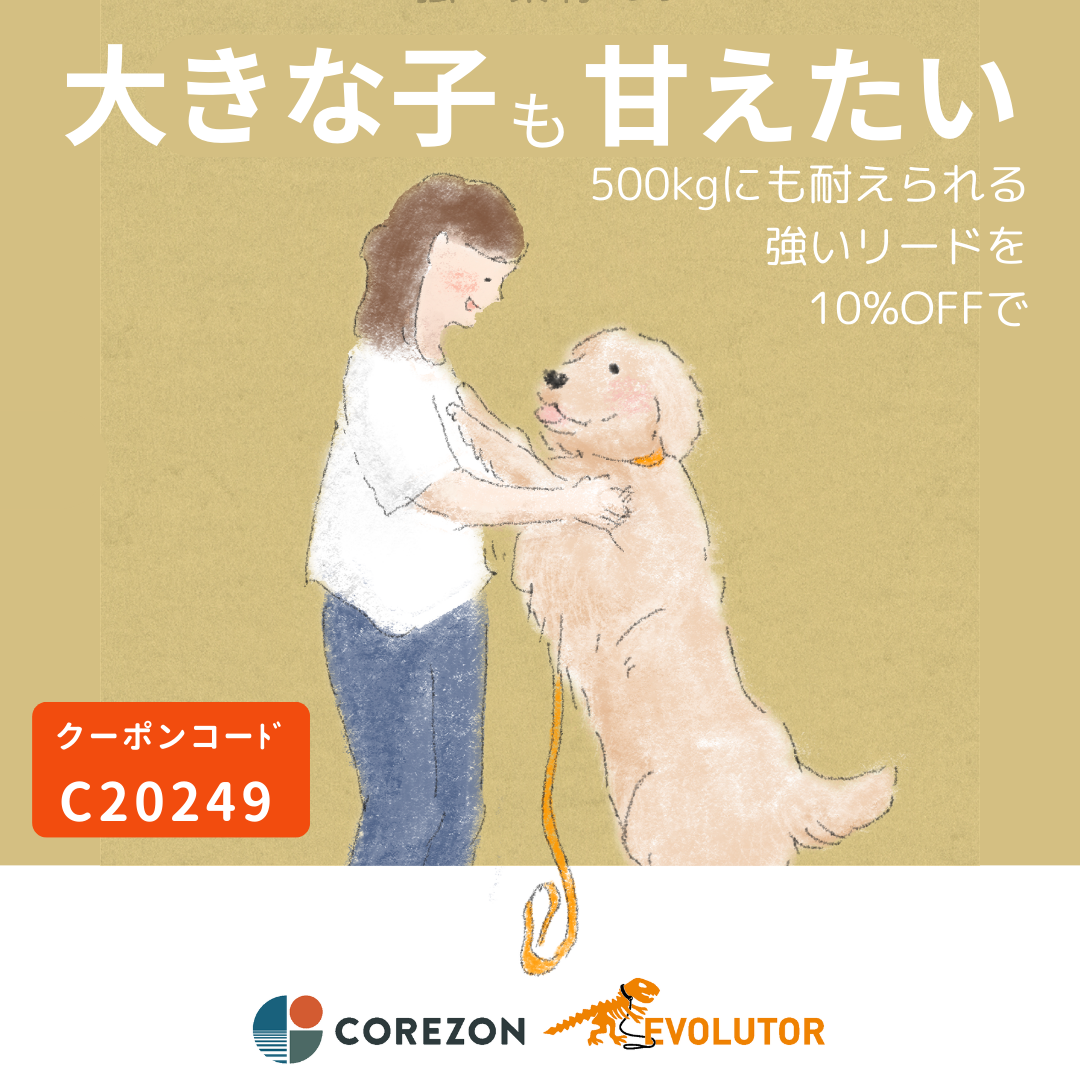 大きな子のためのリード　SALE中です🐶