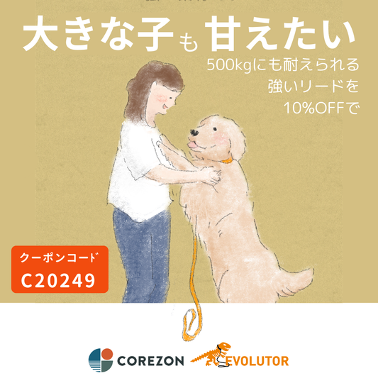 大きな子のためのリード　SALE中です🐶