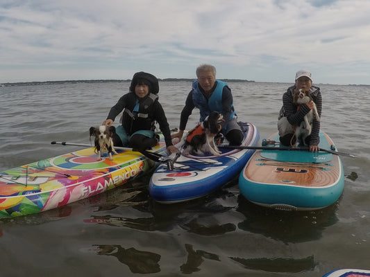 イベントレポ：DOG SUP体験会