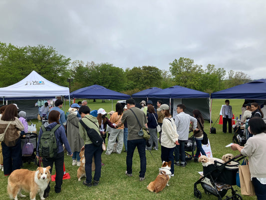 イベントお礼：みちのく杜のフェスティバル🐶
