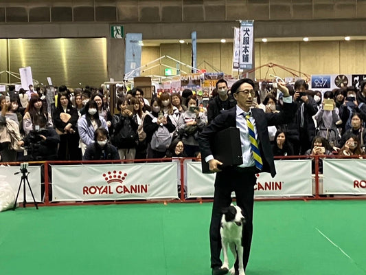 イベントレポ：FCI東京インターナショナルドッグショー2023