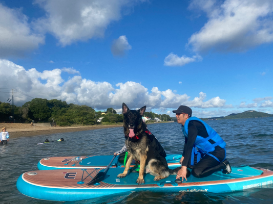 イベントレポ：浜名湖DOG SUP体験会