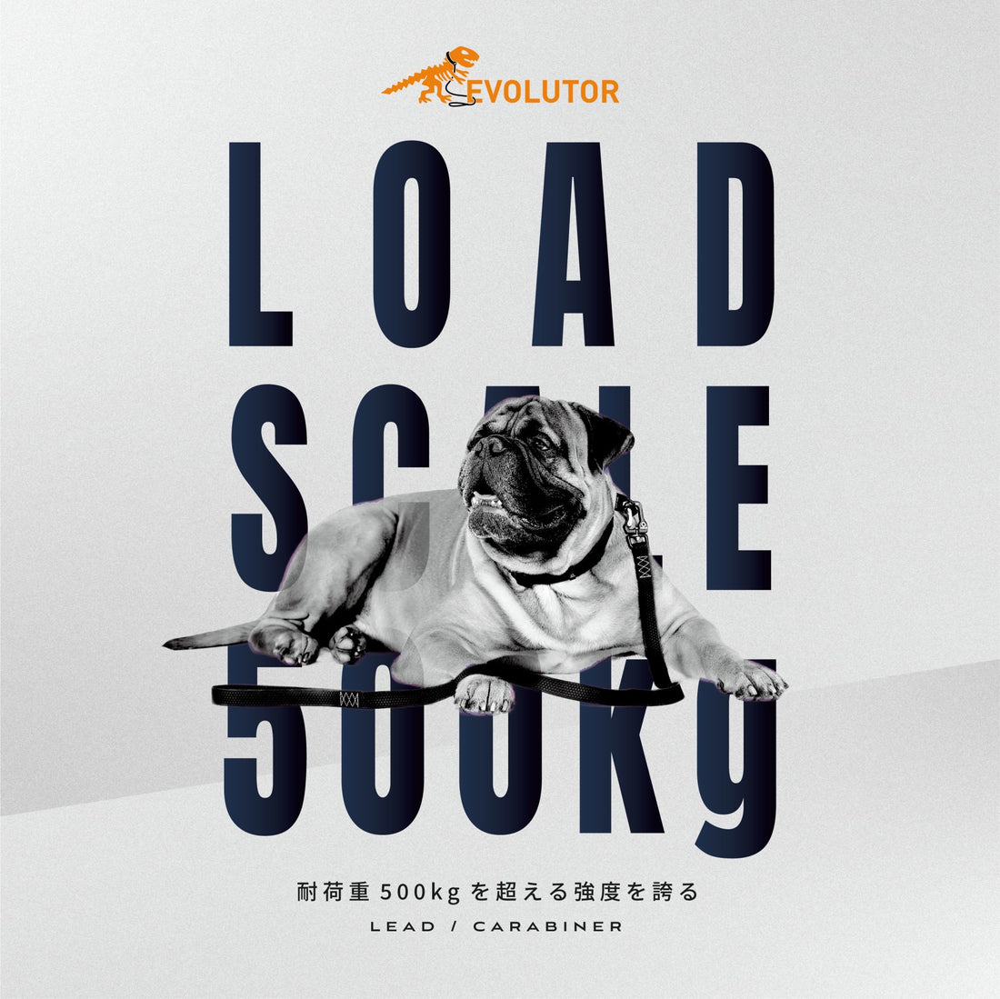 EVOLUTOR Leash（リード）のご紹介