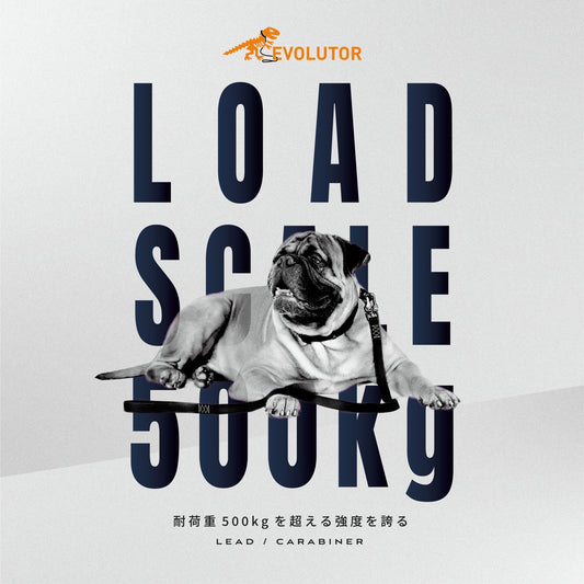 EVOLUTOR Leash（リード）のご紹介