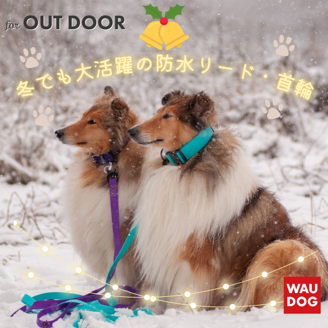 年末のご挨拶