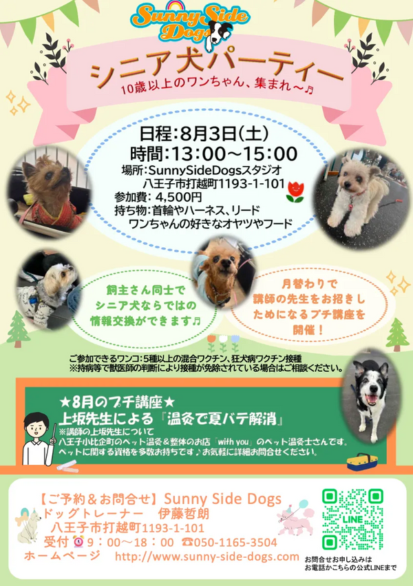 シニア犬パーティ8/3開催 八王子🐶