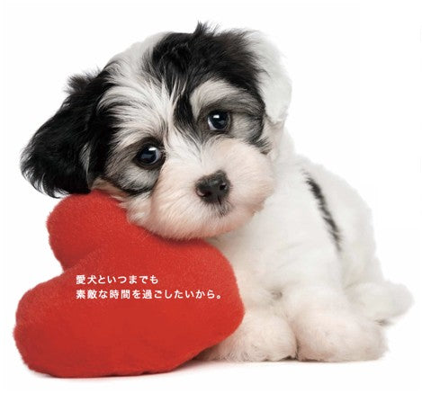 愛犬のがん早期発見検査システム 『リキッドバイオプシー 〜Cancer D-Ark Test〜』 オンラインご説明会について