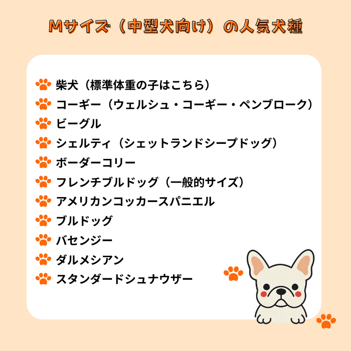 WAUDOG  Waterproof  Collar  / 首輪