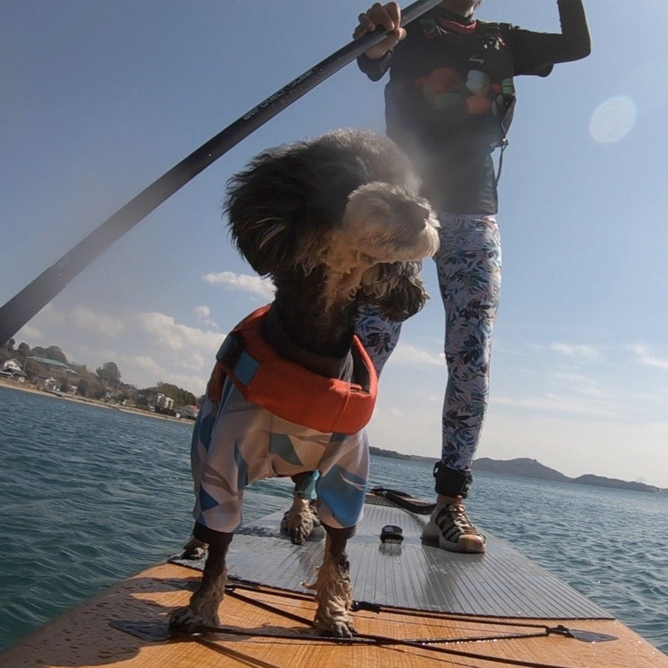 浜名湖DOG SUP(ドッグサップ )体験ツアー 愛犬とのペア参加チケット