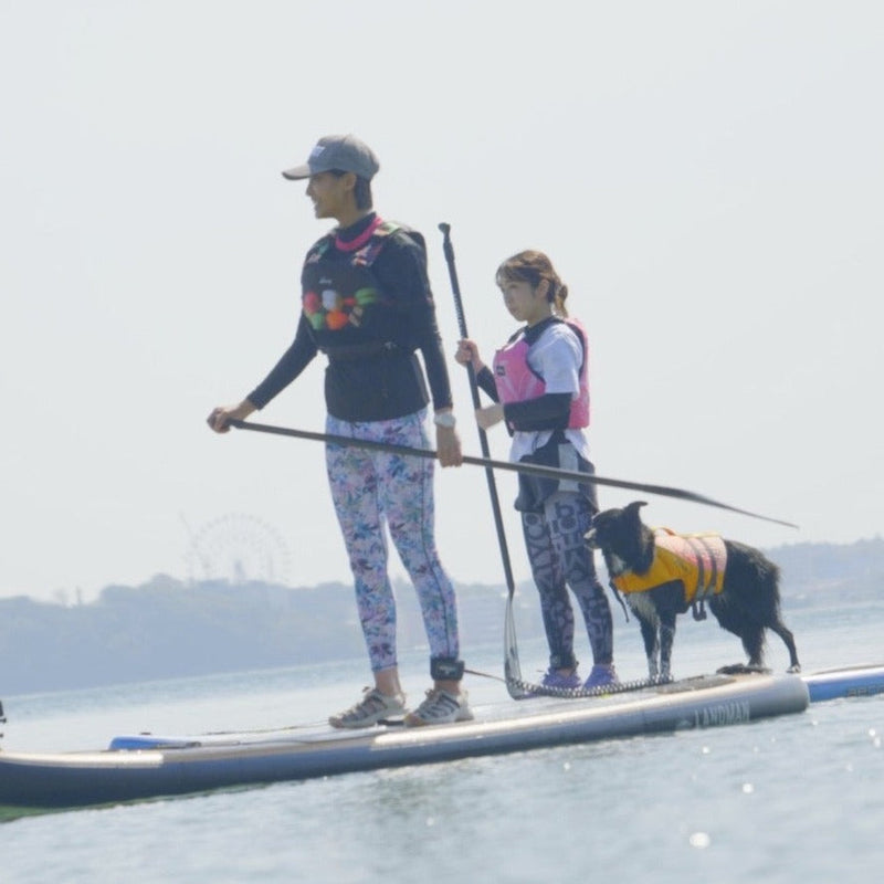 浜名湖DOG SUP(ドッグサップ )体験ツアー　愛犬とのペア参加チケット